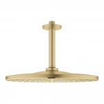 Dušo galva iš lubų Grohe Mono 310 1 srovės 142mm 9,5l/min matinė aukso spalva 